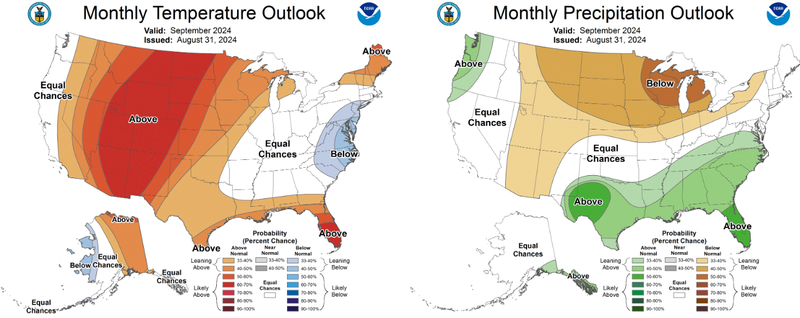 Monthly Outlook from the Climate Prediction