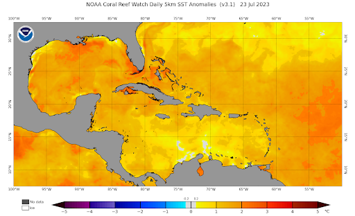 Map depicting sea surface temperature anomalies